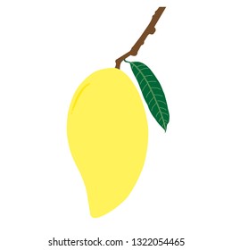 Ripe mango and leaf with branch. Summer fruit for health and lifestyle. Illustration vector icon.