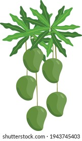 Mango maduro sobre el vector del árbol aislado sobre fondo blanco