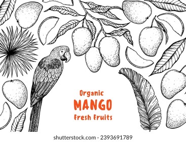Ripe mango and parrot bird sketch. Hand drawn vector illustration. Tropical fruit. Packaging design, menu design, juice packaging. Mango frame.