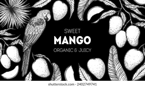 Esbozo de mango maduro y pájaro loro. Ilustración vectorial dibujada a mano. Fruta tropical. Diseño de empaque, diseño de menú, empaque de jugo. Marco de mango.