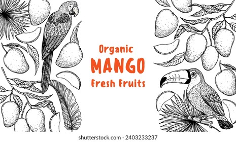 Ripe mango, parrot, toucan bird sketch. Hand drawn vector illustration. Tropical fruit. Packaging design, menu design, juice packaging. Mango frame.