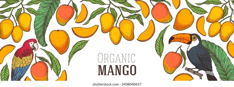 Mango maduro, loro, pájaro tocano. Ilustración vectorial dibujada a mano. Fruta tropical. Diseño de empaque, diseño de menú, empaque de jugo. Marco de mango.