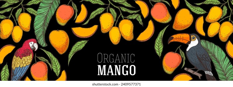 Mango maduro, loro, pájaro tocano. Ilustración vectorial dibujada a mano. Fruta tropical. Diseño de empaque, diseño de menú, empaque de jugo. Marco de mango.