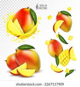 Ripe mango set with pieces, slices and leaves falling in the air isolated on white background. Realistic fruits. Transparent splash of fresh juice. 3d realistic vector illustration.