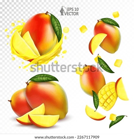 Ripe mango set with pieces, slices and leaves falling in the air isolated on white background. Realistic fruits. Transparent splash of fresh juice. 3d realistic vector illustration.