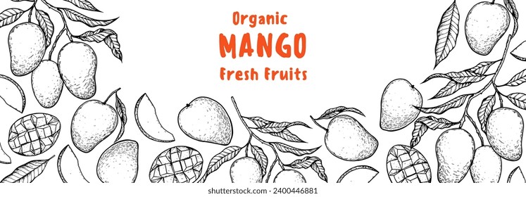 Reife Mango-Skizze. Handgezeichnete Vektorgrafik. Tropische Früchte. Verpackungsdesign, Menüdesign, Saftverpackung. Mango-Rahmen.