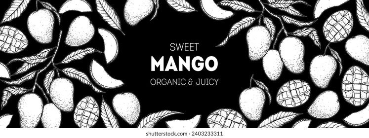 Ripe mango sketch. Hand drawn vector illustration. Tropical fruit. Packaging design, menu design, juice packaging. Mango frame.