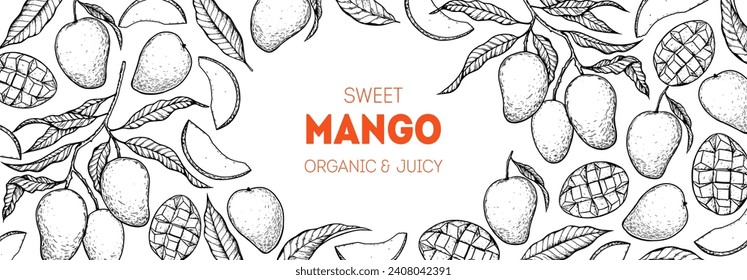 Ripe mango sketch. Hand drawn vector illustration. Tropical fruit. Packaging design, menu design, juice packaging. Mango frame.