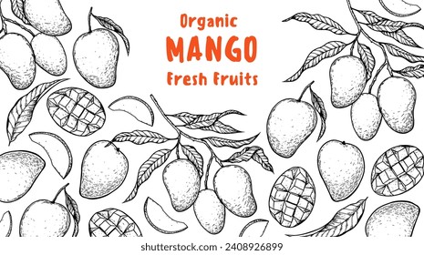 Esbozo de mango maduro. Ilustración vectorial dibujada a mano. Fruta tropical. Diseño de empaque, diseño de menú, empaque de jugo. Marco de mango.