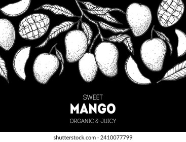 Esbozo de mango maduro. Ilustración vectorial dibujada a mano. Fruta tropical. Diseño de empaque, diseño de menú, empaque de jugo. Marco de mango.