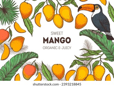 Reife Mango und Toucan Vogel. Handgezeichnete Vektorgrafik. Tropische Früchte. Verpackungsdesign, Menüdesign, Saftverpackung. Mango-Rahmen.