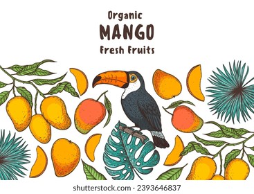 Ripe mango and toucan bird. Hand drawn vector illustration. Tropical fruit. Packaging design, menu design, juice packaging. Mango frame.