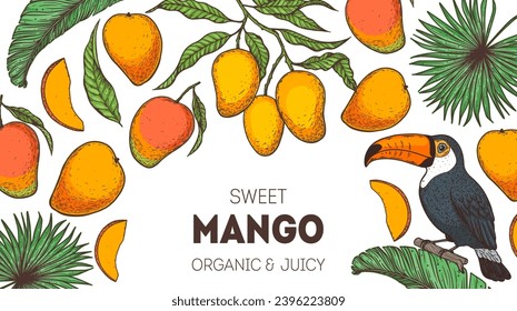 Mango maduro y pájaro toscano. Ilustración vectorial dibujada a mano. Fruta tropical. Diseño de empaque, diseño de menú, empaque de jugo. Marco de mango.