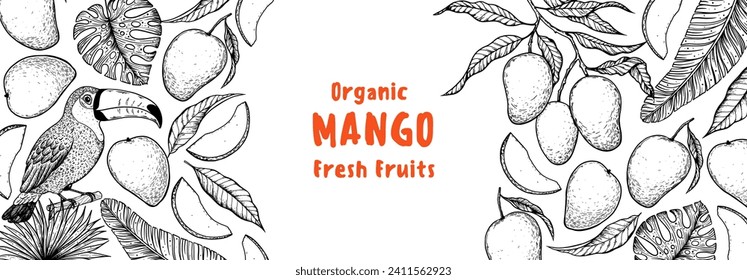 Ripe mango and toucan bird. Hand drawn vector illustration. Tropical fruit. Packaging design, menu design, juice packaging. Mango frame.