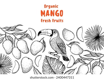 Ripe mango and toucan bird sketch. Hand drawn vector illustration. Tropical fruit. Packaging design, menu design, juice packaging. Mango frame.