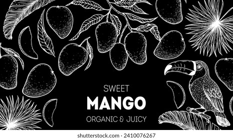 Ripe mango and toucan bird sketch. Hand drawn vector illustration. Tropical fruit. Packaging design, menu design, juice packaging. Mango frame.