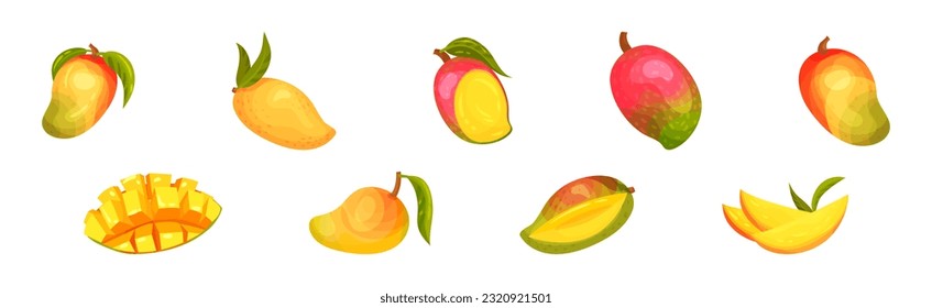Ripe Mango as Tropical Edible Stone Fruit Vector Set
