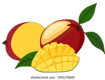 Ripe mango, whole, cut in half and diced on a white background. Vector illustration. Vector illustration design. Vector in cartoon flat style.