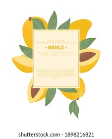 Ripe mango, whole, sliced and half sliced mango. Sweet mango fruits vector hand drawn label design. Mango seed, leaves. Juice or jam logotype concept.