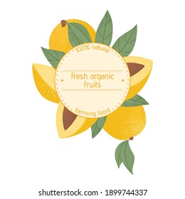 Ripe mango, whole, sliced and half sliced mango. Sweet mango fruits vector hand drawn label design. Mango seed, leaves. Juice or jam logotype concept.