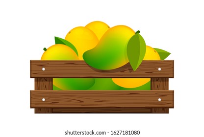 ripe mango in wood crate box isolated on white, mango fruit pack in wooden crate, illustration mango pile and crate wood for clip art, yellow mango heap in wooden box