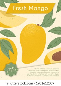 Ripe mangos with leaves. Sweet mango fruits vector hand drawn card design. Mango with leaf. Juice or jam poster concept.