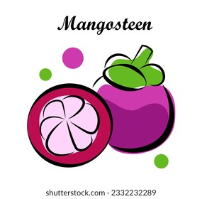 Ripe mangosteen on a white background. Vector illustration in doodle style