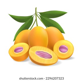 Ripe marian plums. Gandaria mango plum mellow yellow-orange fruits with green leaves and purple core thai fresh food isolated on white background for advertising and packaging