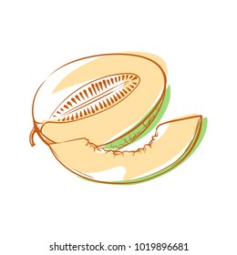 Ripe melon icon isolated on white background. Natural sweet eco food, healthy vegan nutrition, organic farming vector illustration