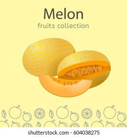 Ripe melon on a light background. Fruits collection. Vector illustration.