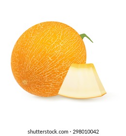 Ripe melon on a white background.Vector illustration.