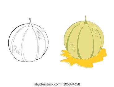 Ripe melon. Vector.