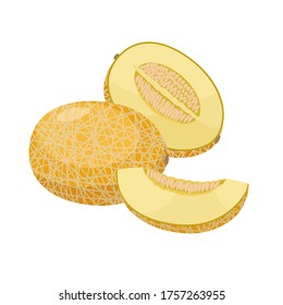Ripe melon vector illustration isolated on white background. Juicy tropical exotic fruit.