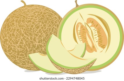 Ripe melons with yellowish skin and greenish-white flesh on a white background