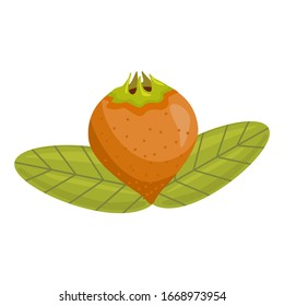 Ripe old sweet medlar and foliage on a white background isolated. Germanic common medlar. Loquat exotic fruit. Nispero. Eriobotrya Japonica. Vector vintage flat modern illustration.