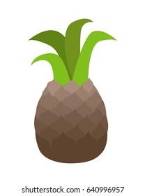 Ripe one pineapple in flat style. Fresh pineapple icon. Pineapple logo. Retail store element. Simple drawing. Isolated vector illustration on white background.