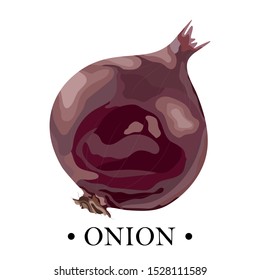 Ripe onion on a white background. Purple onion. Vector illustration.