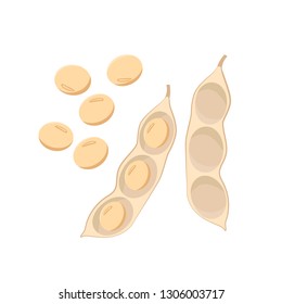 Ripe open soybean pods and grains isolated on white background vector illustration in flat design.