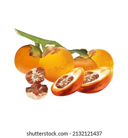 The ripe orange betel nut, that there are benefits, of herbal medicines and dyes