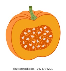 Ripe orange chopped pumpkin. Hand drawn trendy flat style half pumpkin. Organic food, Autumn Harvest, Thanksgiving, halloween concept. Healthy vegetarian menu. Vector illustration