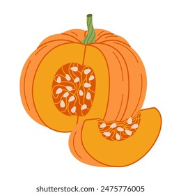 Ripe orange chopped pumpkin. Hand drawn trendy flat style cut pumpkin with wedge and seeds. Organic food, Autumn Harvest, Thanksgiving, halloween concept. Healthy vegetarian menu. Vector illustration