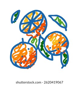 ripe orange cut leaf doodle icon sketch vector. ripe orange cut leaf sign. isolated symbol illustration
