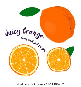 Ripe Orange. Fresh fruit drawn by hand. Vector illustration