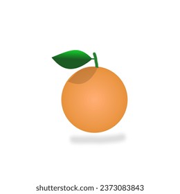 Ripe orange fruit. on a white background.