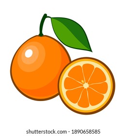 Ripe orange isolated on white background. Drawn fruit with leaf. Whole and cut orange. Vector illustration.