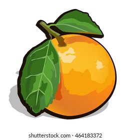 Ripe orange isolated on a white background. Cartoon vector close-up illustration.