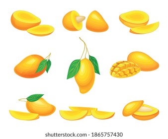 Mango de color naranja puro como fruta de piedra con conjunto vectorial interior de hoyo