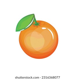 Ripe orange on white background