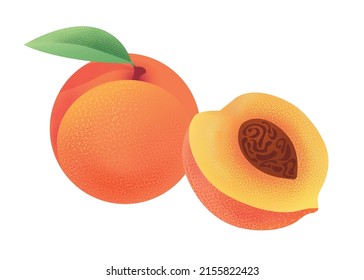 Ripe orange peach isolated on a white background