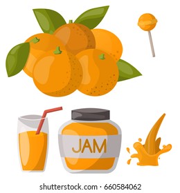 Ripe orange products fruits citrus slices sweet food realistic organic vector illustration.